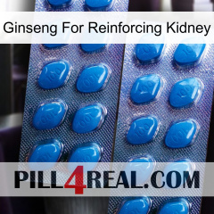 Ginseng For Reinforcing Kidney viagra2